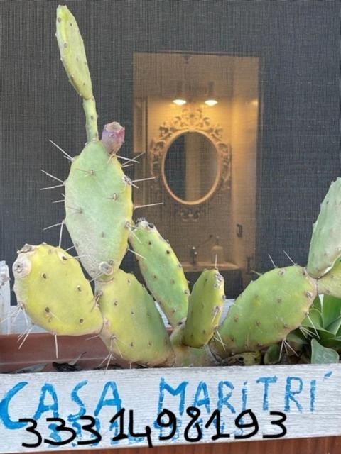 Готель Casa Maritri Locazione Turistica Марцамемі Екстер'єр фото