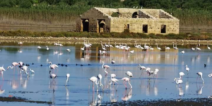 Готель Casa Maritri Locazione Turistica Марцамемі Екстер'єр фото
